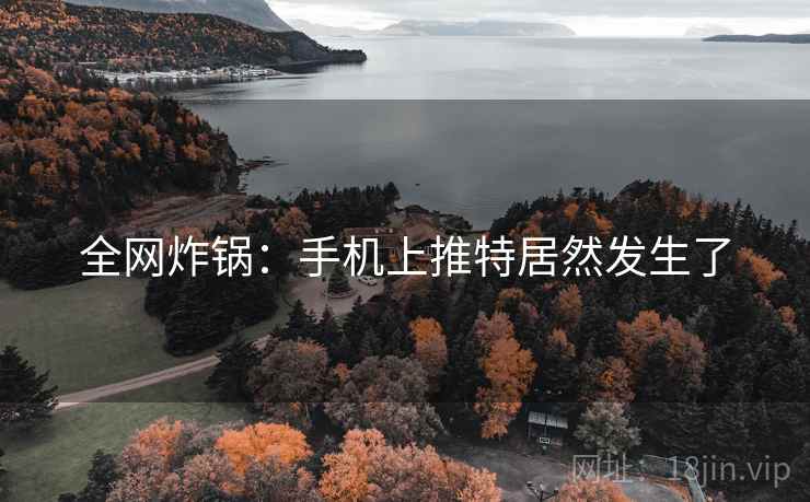 全网炸锅:手机上推特居然发生了